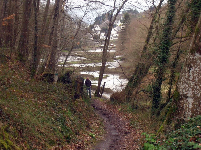 Le bois de Suscinio, l’arrivée sur le Dourduff en Mer