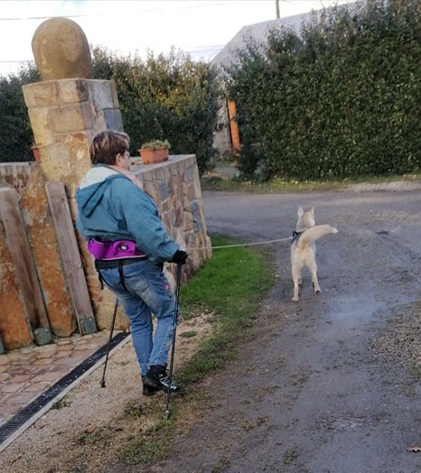 Promenade à Suscinio
