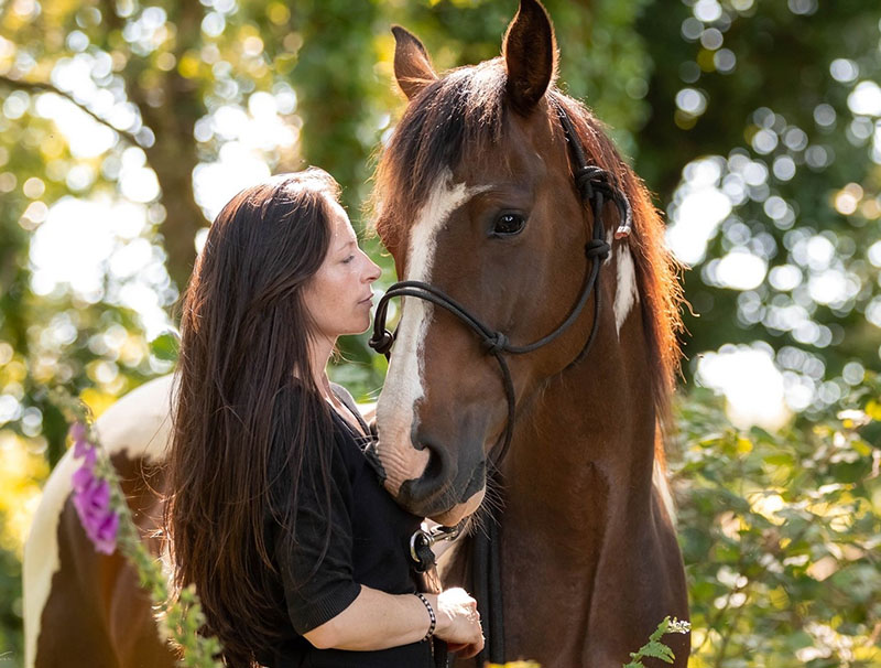Cheval émergence