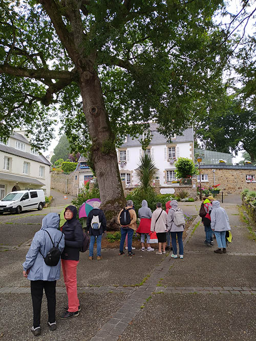 Sortie pédestre à Locquénolé